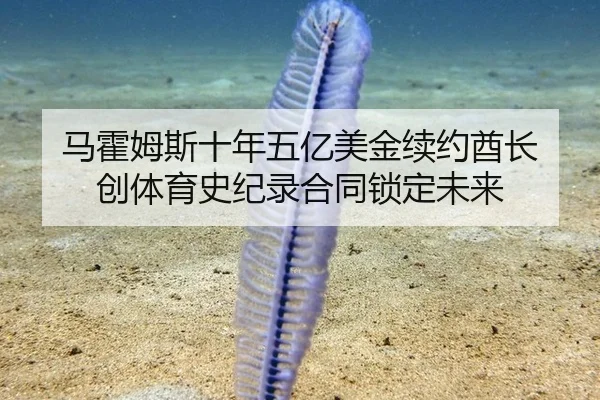 马霍姆斯十年五亿美金续约酋长 创体育史纪录合同锁定未来