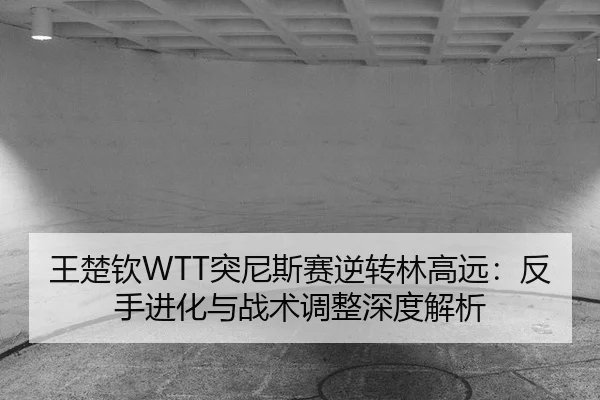 wang-chu-qin-tu-ni-si-sai-ni-zhuan-lin-gao-yuan-fan-shou-jin-hua-yu-zhan-shu-tiao-zheng-shen-du-jie-xi-2-105.jpg